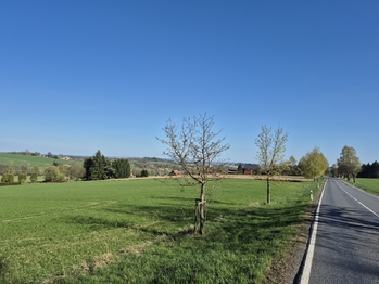 Prodej pozemku 7429 m², Borová