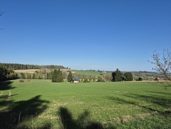 Prodej pozemku 7429 m², Borová