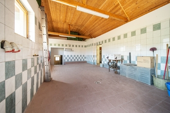 Prodej jiných prostor, Velké Bílovice