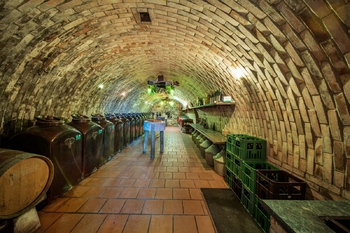 Prodej jiných prostor, Velké Bílovice
