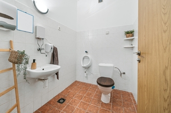 Prodej jiných prostor, Velké Bílovice