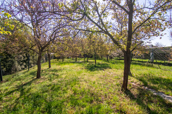 Prodej domu 220 m², Podivín
