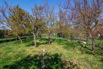 Prodej domu 220 m², Podivín