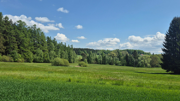 Prodej pozemku 5776 m², Borová