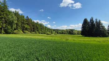 Prodej pozemku 5776 m², Borová