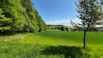 Prodej pozemku 5776 m², Borová