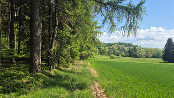 Prodej pozemku 5776 m², Borová