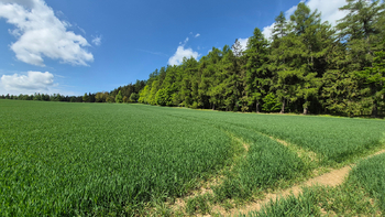 Prodej pozemku 5776 m², Borová