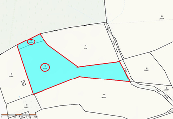 Prodej pozemku 5776 m², Borová