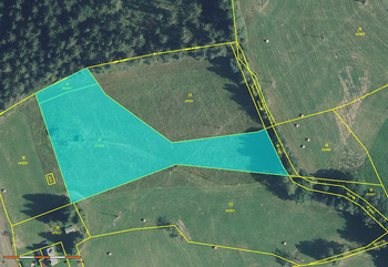 Prodej pozemku 5776 m², Borová