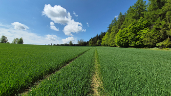 Prodej pozemku 5776 m², Borová