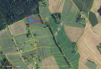 Prodej pozemku 5776 m², Borová