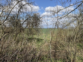 Prodej pozemku 3131 m², Lično