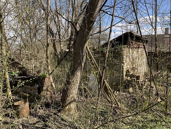 Prodej pozemku 3131 m², Lično