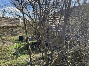 Prodej pozemku 3131 m², Lično