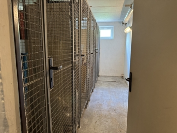 Prodej bytu 3+1 v družstevním vlastnictví 63 m², Děčín