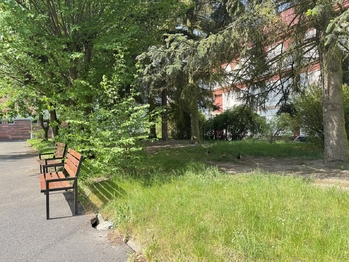 Prodej bytu 3+1 v družstevním vlastnictví 63 m², Děčín