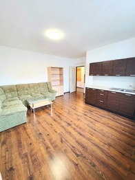 Pronájem bytu 1+1 v osobním vlastnictví 47 m², Bílina