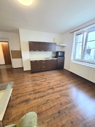 Pronájem bytu 1+1 v osobním vlastnictví 47 m², Bílina
