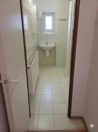 Pronájem bytu 1+1 v osobním vlastnictví 47 m², Bílina