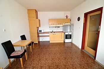 Prodej bytu 1+1 v osobním vlastnictví 42 m², Loučovice