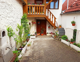 Dvorek s hospodářskou budovou - Prodej domu 65 m², Husinec