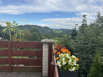 Prodej domu 200 m², Hodkovice nad Mohelkou