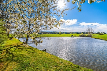 Prodej domu 220 m², Jílovice