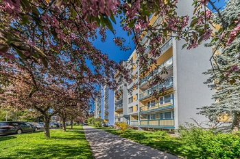 Prodej bytu 3+kk v družstevním vlastnictví 56 m², Praha 4 - Háje