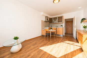 Pronájem bytu 1+kk v osobním vlastnictví 26 m², Praha 10 - Vršovice