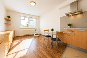 Pronájem bytu 1+kk v osobním vlastnictví 26 m², Praha 10 - Vršovice