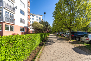 Pronájem bytu 1+kk v osobním vlastnictví 26 m², Praha 10 - Vršovice