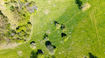 Prodej pozemku 8089 m², Hrubá Skála