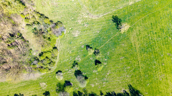 Prodej pozemku 8089 m², Hrubá Skála