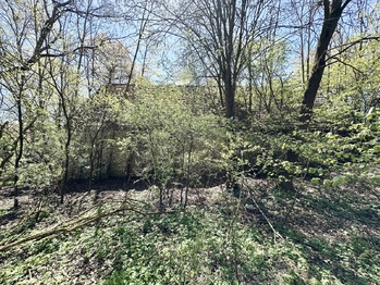 Prodej domu 120 m², Lodhéřov