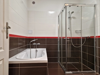 Koupelna v bytové jednotce - Prodej ubytovacího zařízení 368 m², Benešov u Semil