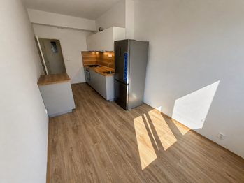 Pronájem bytu 2+kk v osobním vlastnictví 50 m², Praha 7 - Holešovice