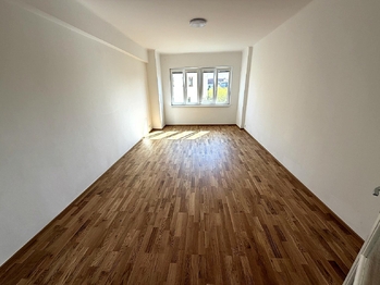 Pronájem bytu 2+kk v osobním vlastnictví 50 m², Praha 7 - Holešovice