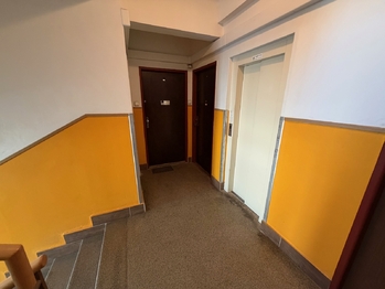 Pronájem bytu 2+kk v osobním vlastnictví 50 m², Praha 7 - Holešovice