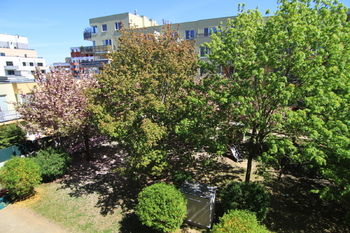 Dvůr plný zeleně = klid - Prodej bytu 2+kk v osobním vlastnictví 51 m², Praha 5 - Hlubočepy
