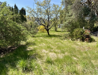 Prodej pozemku 2196 m², Hradištko