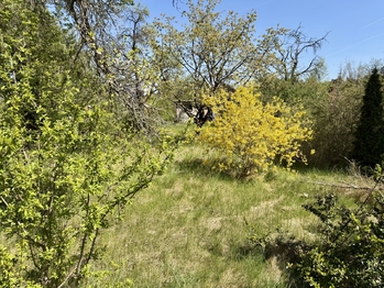 Prodej pozemku 2196 m², Hradištko