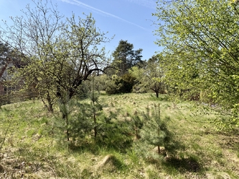 Prodej pozemku 2196 m², Hradištko