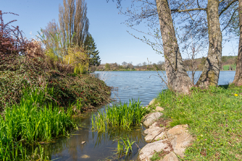 Prodej pozemku 2006 m², Sedlec-Prčice