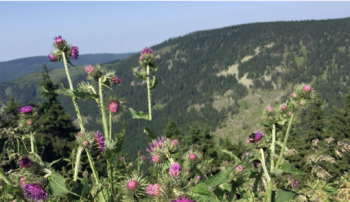 Prodej domu 135 m², Široká Niva