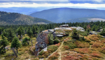 Prodej domu 135 m², Široká Niva