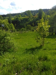Prodej pozemku 1763 m², Merklín