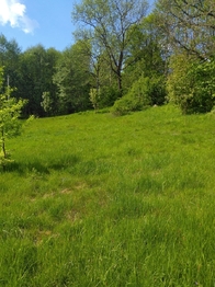 Prodej pozemku 1763 m², Merklín
