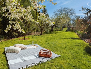 Prodej chaty / chalupy 8 m², Tuněchody