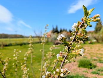 Prodej chaty / chalupy 8 m², Tuněchody